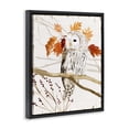 thumbnail image 2 of Stupell Industries Rustic Lodge Owl In Autumnal Forest Black Floating Frame Canvas Art, 17 x 21, by Victoria Borges, 2 of 7