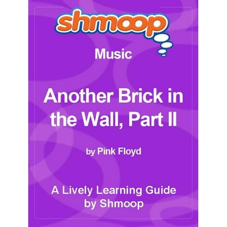 Shmoop Music Guide: A Boy Named Sue - eBook