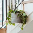 thumbnail image 5 of Cotton Rope Hanging Flower Pot Flowers Plants Container Landscape for Home Garden Yard Office, 5 of 5