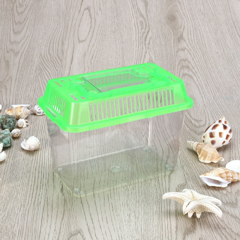Small Plastic Fish Tank