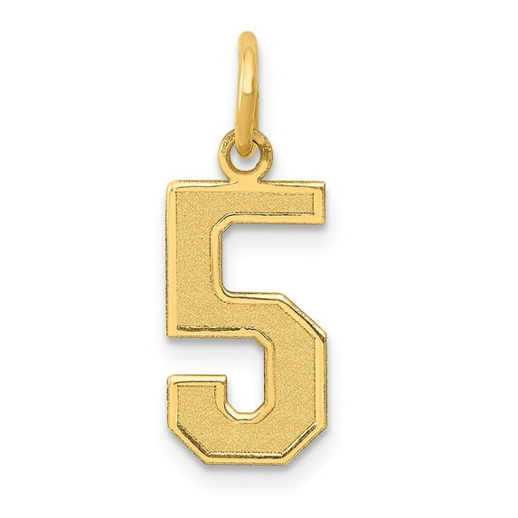 FB Jewels 14K Yellow Gold Medium Satin Number 5 Charm