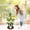 3 Tier, variant on RibRave 3 Tier Plant Stand Indoor, Metal Wood Plant Stands For Indoor Plants Multiple, Corner Tiered Flower Plants Shelf Stand for Living Room Bedroom, Brown