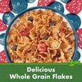 thumbnail image 5 of Cascadian Farm No Added Sugar Mixed Berry Breakfast Cereal, Whole Grain & Organic, 12.5 oz Box, 5 of 8