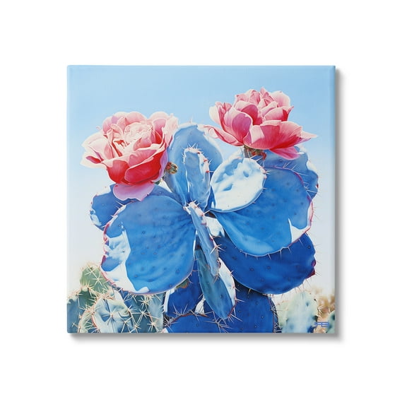 Stupell Industries Twin Cactus Blossoms Botanical & Floral Painting Gallery Wrapped Canvas Art Print Wall Art, 17 x 17