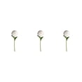 thumbnail image 2 of Baohd 1/2/3/5 10pack/lot Realistic Appearance Artificial Flower For Party Decor And Home Decor White 3PCS, 2 of 6