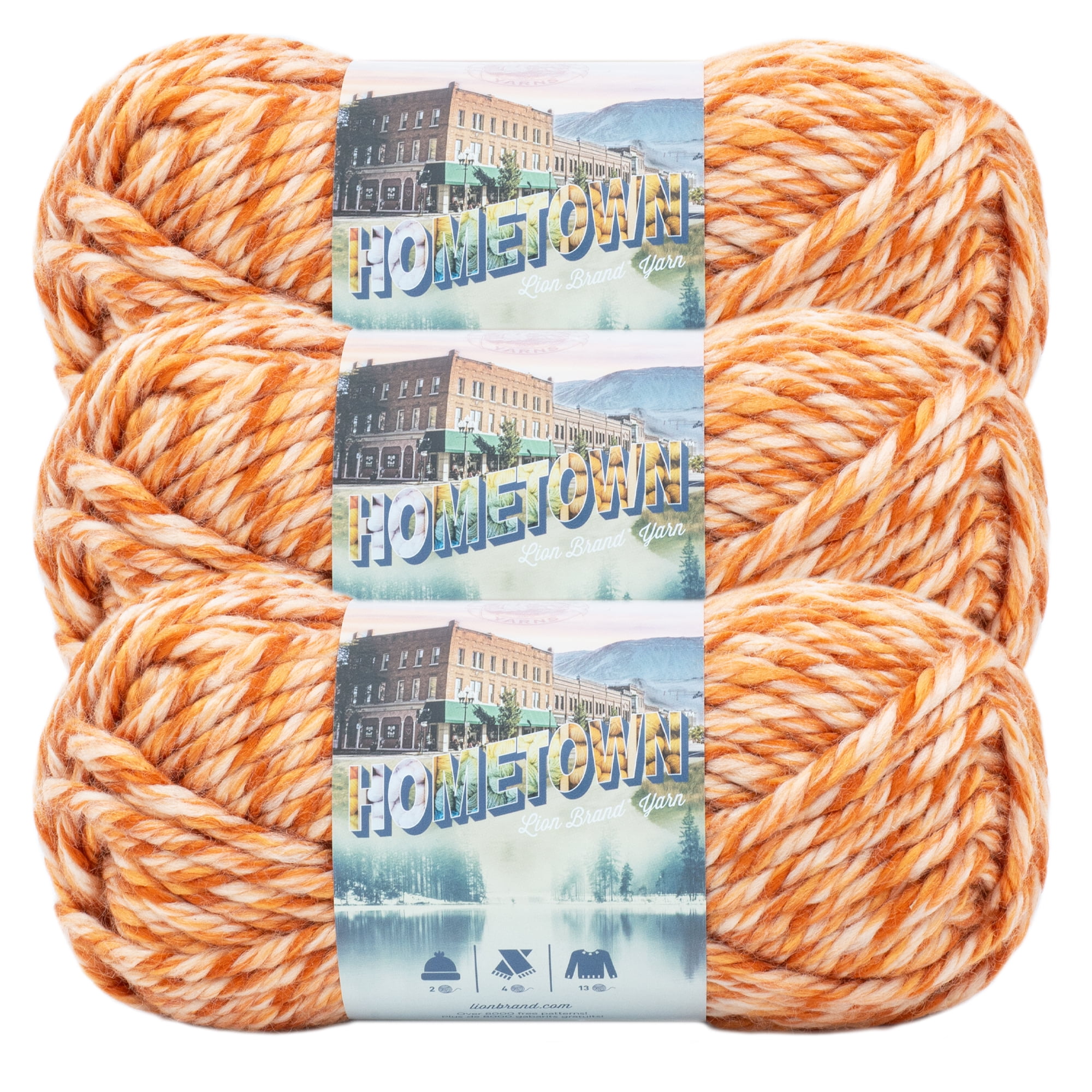 Lion Brand Yarn Hometown San Juan Sunset Basic Super Bulky Acrylic Multicolor Yarn 3 Pack