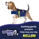 thumbnail image 2 of Camisa calmante para perros con forma de sangría pequeña, 2 of 4