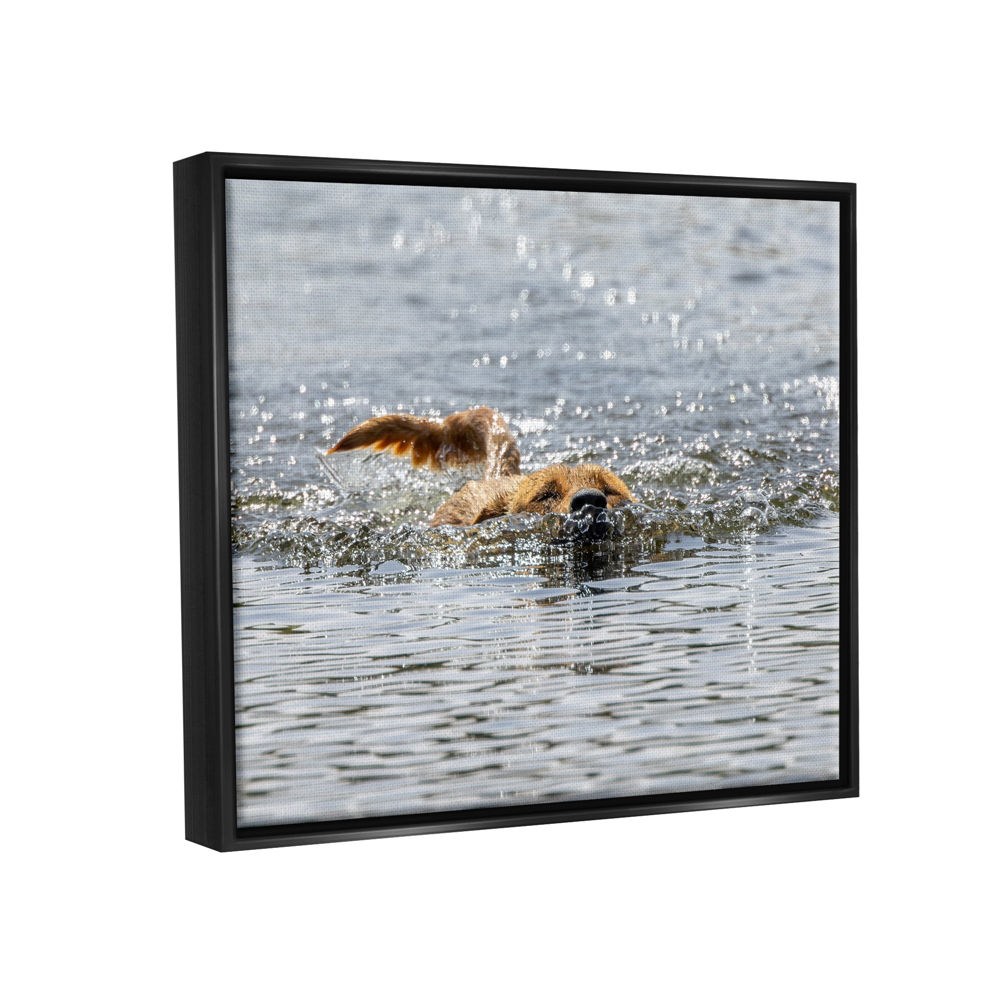 Stupell Industries Dog Swimming in Ocean Animals & Insects Photography Black Floater Framed Canvas Art Print Wall Art, 31 x 25