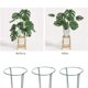 thumbnail image 3 of Billuyoard Paquete de 6 estacas de soporte para plantas, jaula de anillo, anillo de soporte para plantas de jardín de Metal para peonía, tomate, Jardín y Patio, 3 of 6