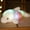 White, variant on White Luminous Dolphin Stuffed Animal 18-inch LED Plush Toy Night Comfort Auto-OffTheme Decor