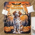 thumbnail image 4 of Mummy Brittany Spaniel Happy Halloween with Pumpkins Bats Spooky Fun Cozy Sherpa Blanket Brittany Dog Lover Gifts Idea Warm Soft Throw Blanket - 00019, 4 of 5