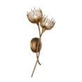 thumbnail image 4 of Protea 2-Light Wall Sconce in Manchester by Breegan Jane, 4 of 5