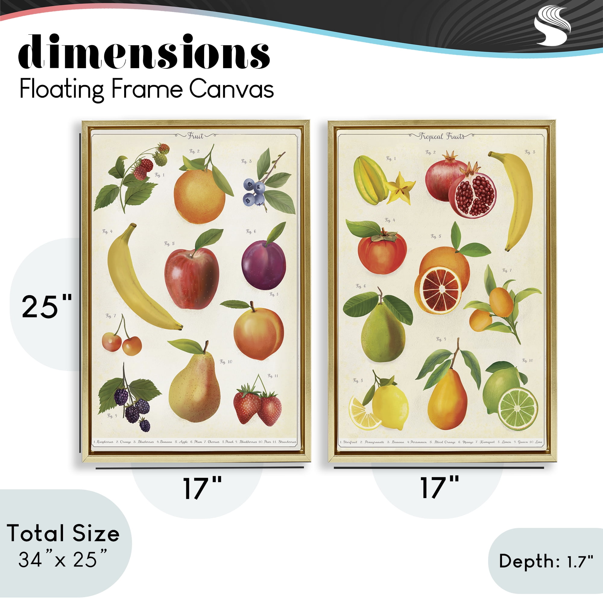 Stupell Industries Kitchen Studies Fruit 2 Piece Gold Framed Floater Canvas Set, design by Diane Neukirch