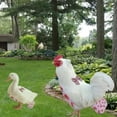 thumbnail image 4 of Pañales de pollo para mascotas, productos para mascotas, ropa de pato y ganso, bandam aves de corral, 4 of 5