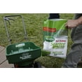 thumbnail image 3 of Scotts Turf Builder Lawn Food Starter for New Grass - Granules - 14M, 3 of 6