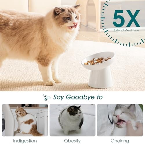 Ceramic Slow Feeder Cat Bowl, 6.25 Inch Elevated Cat Slow Feeder Bowl, Anti Vomiting for Dry and Wet Food, White