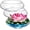 3, variant on 6 Pcs Hydroponic Planter Lotus Flower Pot Planter Lotus Bowl Clear Glass Fish Bowl Vase for Planting Indoor Home Decor Water Lily Narcissus Planting Water Lily (7.09in)
