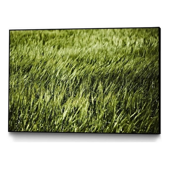 Giant Art Canvas 36x24 Grass II Framed in Green