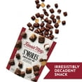 thumbnail image 3 of Fannie May, Milk Chocolate Candy, S'mores Snack Mix, 7.75 oz Bag, 3 of 10