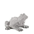 thumbnail image 2 of Urban Cement Northern Rainfrog on Base Figurine Washed Concrete Gray, 2 of 3