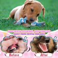 thumbnail image 4 of 12Pcs Multi Color Dog Rope Braided Chew Teething Toys Play Aggressive Heavy Duty, 4 of 6
