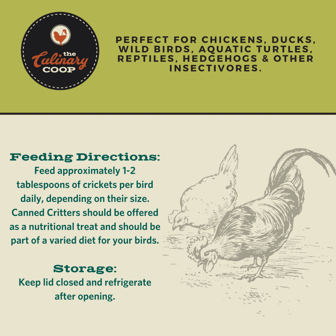 Fluker's The Culinary Coop Canned Crickets, All-Natural Chicken Treats, 2.75 oz