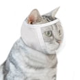 thumbnail image 2 of Capucha De Cabeza Bozal transparente para gatos, cubierta de aseo, antimordeduras, capucha portátil para la cabeza, accesorio para mascotas (S) Tmvgtek Libre de BPA, 2 of 9