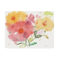 Trademark Fine Art 'Vibrant Expressions' Canvas Art by Sheila Golden