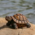 thumbnail image 6 of Xoiie Realistic Turtle Outdoor Statue, Polyresin Tortoise Statue, Tortoise Garden Figurine Home Decor Sculpture, Yard Decor for Home and Fairy Garden, 6 of 7