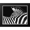 thumbnail image 2 of Van Swearingen, Debra 14x12 Black Modern Framed Museum Art Print Titled - Zebra III, 2 of 5