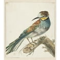 thumbnail image 2 of Jan Weenix 20x22 Gold Ornate Framed and Double Matted Museum Art Print Titled - Bijenter (Merops Apiaster) (1650 - 1719), 2 of 4