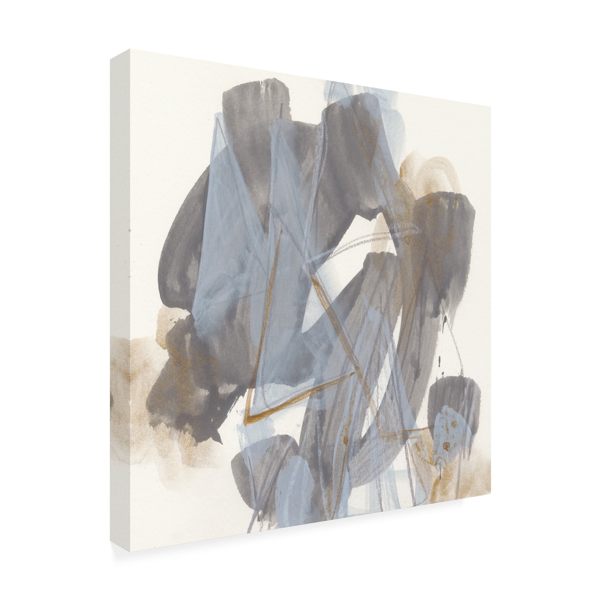 Trademark Fine Art 'Inference Ix' Canvas Art by June Erica Vess