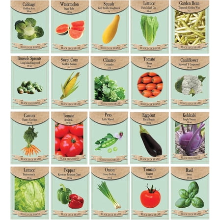 20 Variety Vegetable & Herb Seed Set – Non-GMO Heirloom Seeds for Planting – Includes Tomatoes, Lettuce, Squash, Peas, Corn, Herbs & More – Indoor, Outdoor & Garden Growing - Packaged for 2025