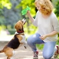 thumbnail image 4 of Cactus Dog Chew Toy Interactive Squeaky Toothbrush Stick for Puppy Cleaning and Aggressive Chewing, 4 of 4