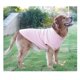thumbnail image 4 of Sudadera con capucha acolchada, suéter, chaleco, abrigo para clima frío, Chihuahua, perro con capucha, gato, abrigo de invierno, ropa para perros pequeños, rojo cálido M, 4 of 5