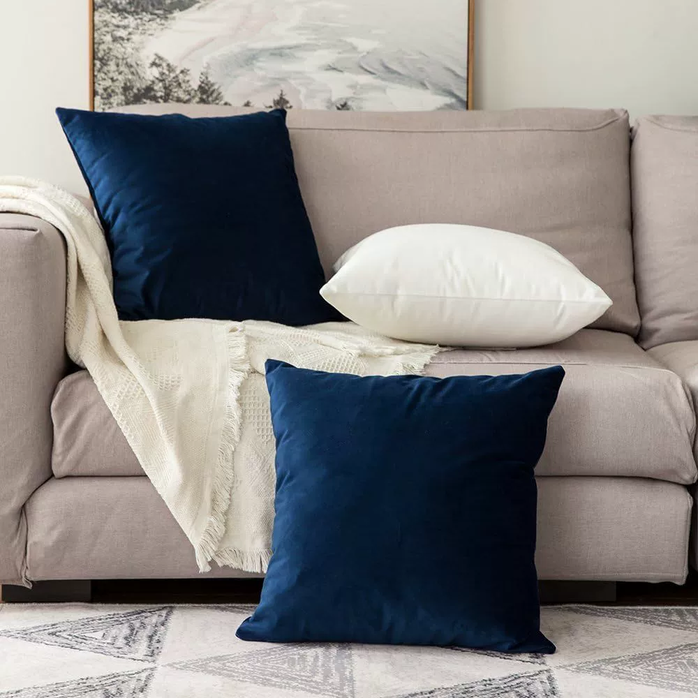 Nmkwnr Set of 2 Velvet Decorative Throw Pillow Covers Soft Square Pillow Case for Living Room Couch Bed Sofa, 22x22 Inch