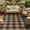 BLACK COFFEE, variant on DEORAB Outdoor Rug 5'x 8' Polypropylene Surface Washable UV-Resistant Carpet Patio Deck Porch，Black & Beige