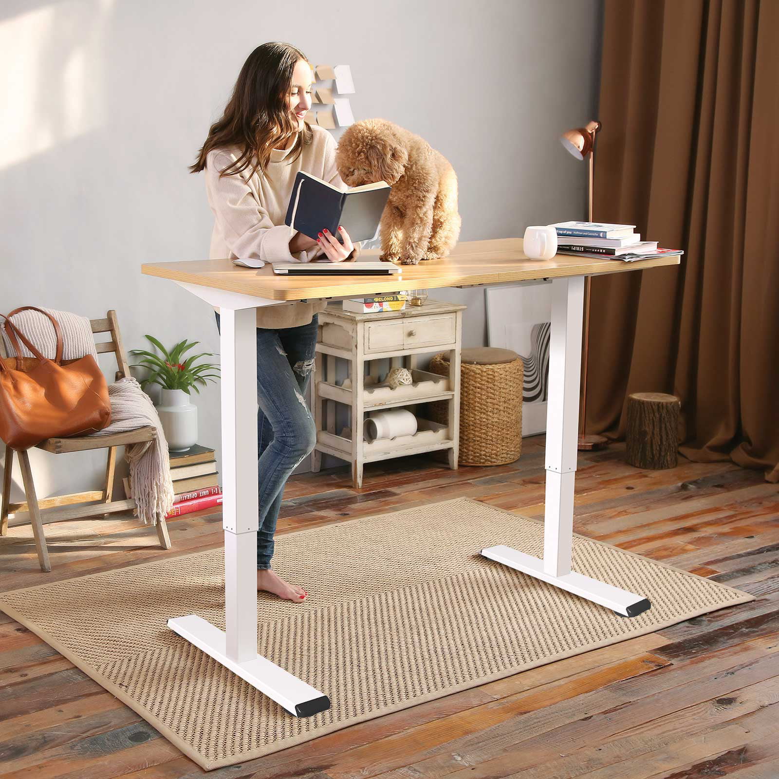 FlexiSpot Home Office Electric Height Adjustable Standing Desk 48