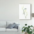 thumbnail image 3 of Trademark Fine Art 'Avian Impressions III' Canvas Art by June Erica Vess, 3 of 4
