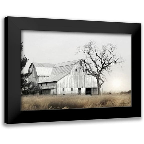 Deiter, Lori 14x11 Black Modern Framed Museum Art Print Titled - Ohio Fields I