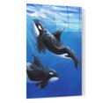 thumbnail image 2 of Epic Art 'Under Sea Whales II' by Tim O'Toole, Acrylic Glass Wall Art, 16"x24", 2 of 3