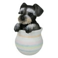 thumbnail image 6 of Adorable Grey Mini Schnauzer Puppy Dog Figurine With Glass Eyes Pup In Pot, 6 of 9