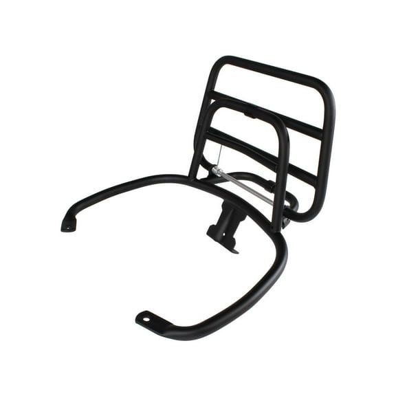 "Rear Rack (Fold Down, Black); Vespa GTS"