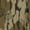 Mossy Oak Greenleaf, variant on Ol Tom Embossed Logo Fleece Hoodie Greenleaf 3Xlarge