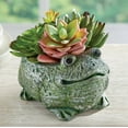 thumbnail image 2 of Collections Etc Charming Frog Planter with Artificial Succulents, 2 of 3