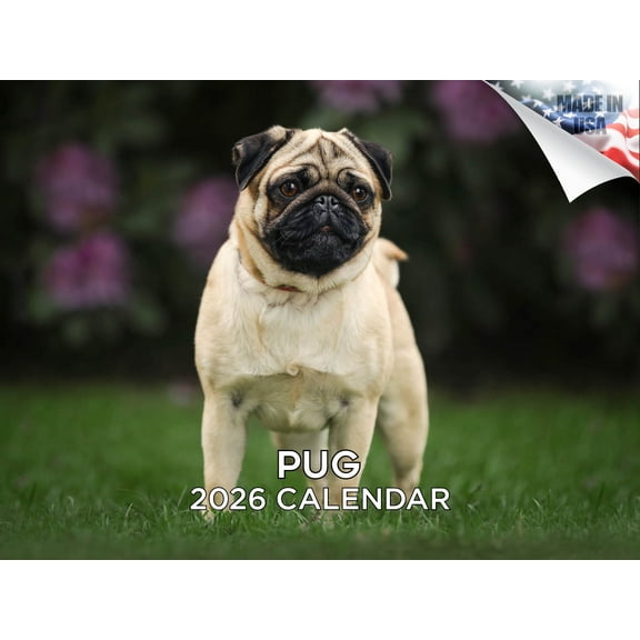 2025 2026 Pug Calendar - Dog Breed Monthly Wall Calendar - 12 x 18 Open - Thick No-Bleed Paper - Giftable - Made in USA