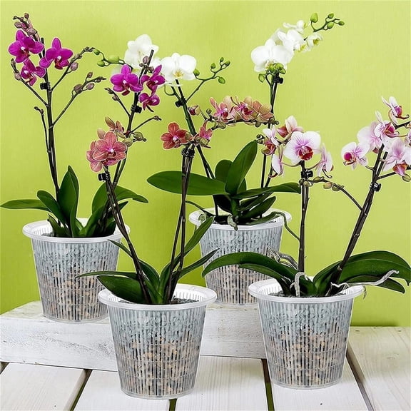 Orchid Pot with Holes Mesh Pot for Plants Clear Root Control Plastic Flower Pot Breathable Orchid Planter Container with Slotted Drainage White