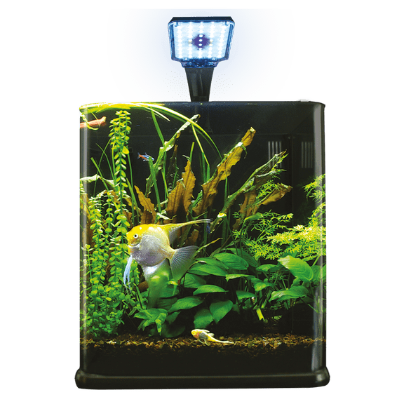 Acuario Nano Cubo 9 L Lomas