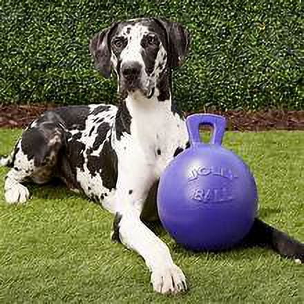 Jolly Pets Tug-N-Toss 10 inch Purple Rubber Ball with Handle Chew Toy for Dogs