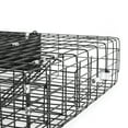 thumbnail image 2 of Rugged Ranch Squirrelinator Squirrel Chipmunk Metal 2 Door Trap Cage (4 Pack), 2 of 12